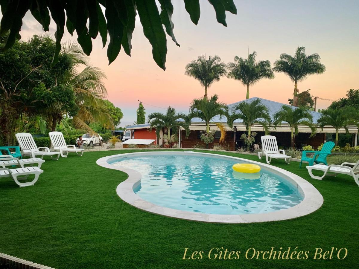 Les Gites Orchidees Bel'O Capesterre-Belle-Eau Zewnętrze zdjęcie