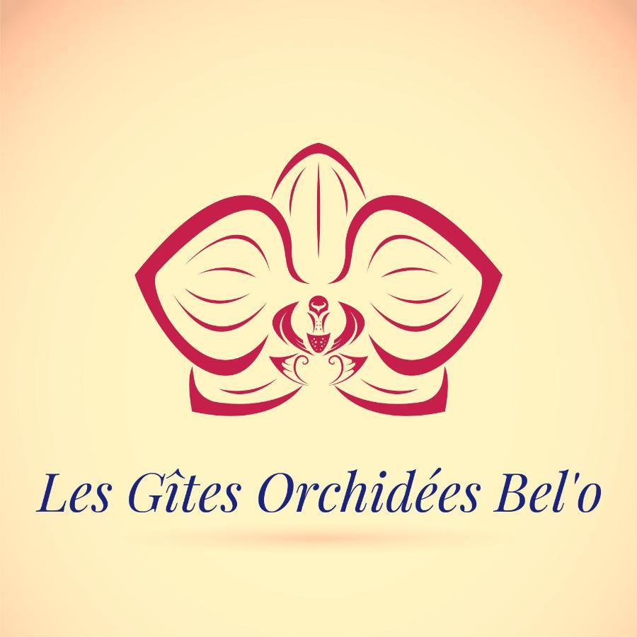 Les Gites Orchidees Bel'O Capesterre-Belle-Eau Zewnętrze zdjęcie